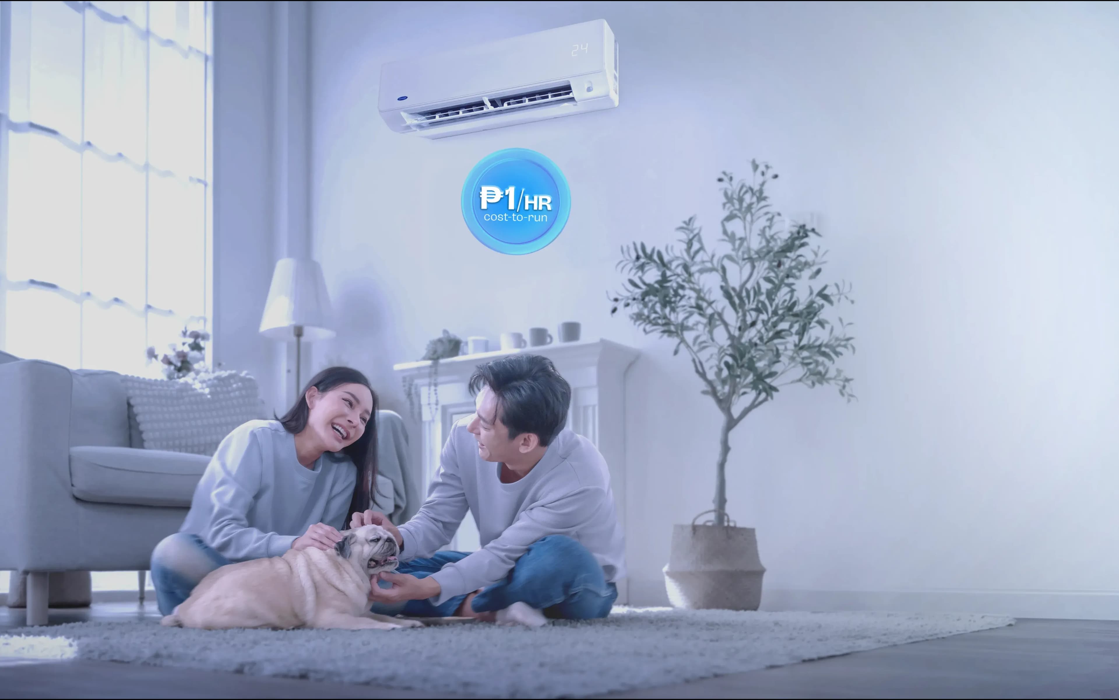 RD11_AURA_P1hr copy.webp