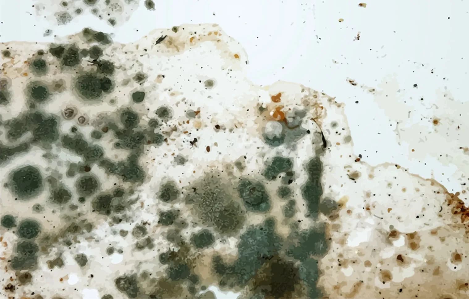 Another allergy trigger is mold